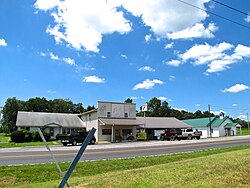 Businesses along KY 181 in Pinchem