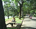 People frequenting the park.