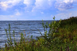 The "Fox Beach" by the Gulf in Saint Petersburg