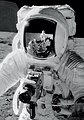 Die US-Astronauten des Apollo-Programms waren mit Mittelformatkameras Hasselblad 500EL ausgerüstet. Diese waren nach NASA-Vorgaben entwickelt und hatten einen über NiCd-Zellen versorgten Motorantrieb.