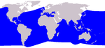 Cuvier's beaked whale range
