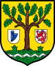 Waldbröl – Stemma