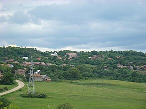 Panoramă din drumul spre Măcicașu