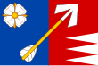 Vlag