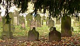 Jüdischer Friedhof Hameln 20.07.2014 (Archiv: 2014)