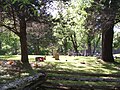 Johnson cemetery