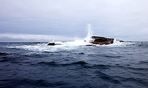 Kolbeinsøy: Kleinste Insel Islands