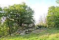 Felsen, Bäume und Büsche