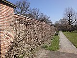 Tuinmuur monumentnummer 515697