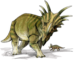 A Styracosaurus művészi rekonstrukciója