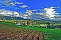 Farmfields in Suesca