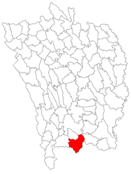 Location in Vaslui County