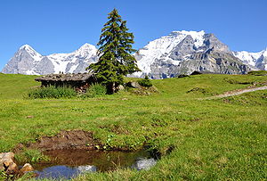 Eiger, Mönch ve Jungfrau
