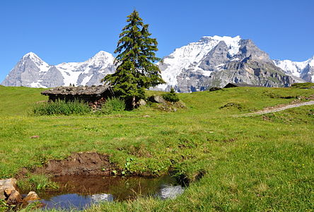 Eiger, Mönch ve Jungfrau'nun Grütschalp İstasyonundan görünümü (Bern, İsviçre, 29 Temmuz 2009). (Üreten: Simisa)