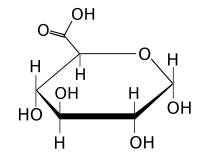 Glucuronic acid stereochemistry