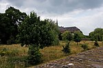 Verwaarloosde boomgaard