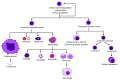 Galician (partly raster)