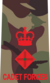 Lieutenant Colonel