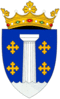 Coat of arms of Rezina