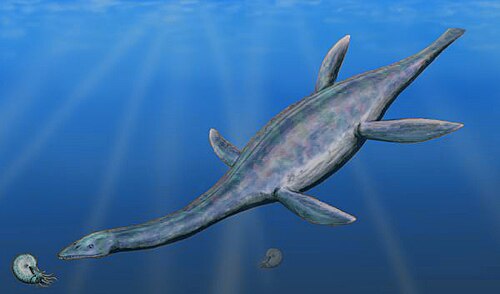 Life restoration of Thalassiodracon hawkinsi, a plesiosaur from the Early Jurassic of England.