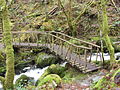 Wish bone bridge, gentlemans walk