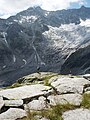 Am Bildrand links unten liegt die vom Nährgebiet abgeschnittene und vom Bergschutt zugedeckte Zunge (Toteis)