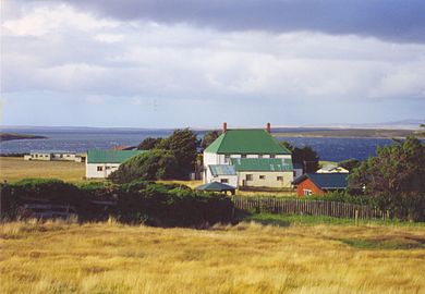 Tussock-bunch grasslands, dormant season, in the Falkland Islands in the south Atlantic