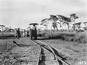 Narrow gauge railway transporting coffee, 1931/32