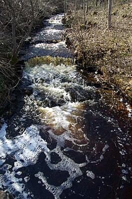 Riviertje in Kõrtsialuse