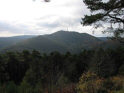 Kalmit mit Taubenkopf im Vordergrund (Blick von der Hohen Loog)