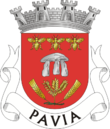 Vlag van Pavia