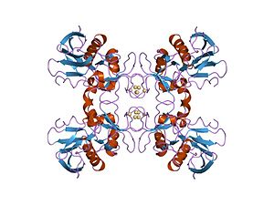 Cartoon representation of the molecular structure of SPEA1.