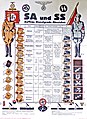 SA und SS Aufbau Dienstgrade Abzeichen (1933, brighter version)