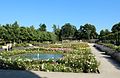 Schlossparterre im Rosarium Baden