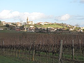 The Gaillac Vineyard with Senouillac beyond