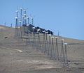 Tehachapi wind farm