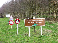 Forêt domaniale de Tournehem