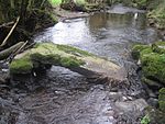 Aghavrin Clapper Bridge Irland