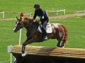 Eventingpaard