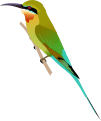 Blue-tailed Bee-eater