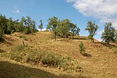 Abgestuftes Plateau der Burg (von Südosten)