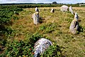 Kalvestenene, Schiffssetzung auf Hjarnø