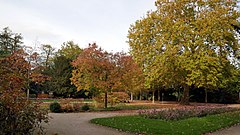 Cäcilienplatz im Herbst