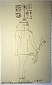 Leo Reinisch Handschriftliche Studien zu Hieroglyphen in einem ägyptischen Königsgrab 2