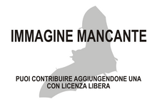 Immagine di Miniopterus majori mancante