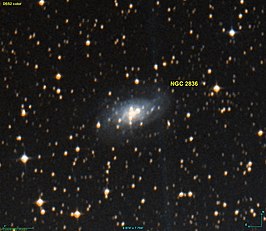 NGC 2836