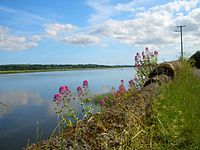 River Suir