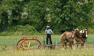 Amish man from one of the very plain "one suspender" groups in southeast Ohio