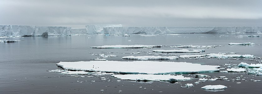 Antarctic Sound