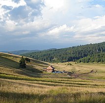 Cărpinenii, Covasna (Csángótelep)